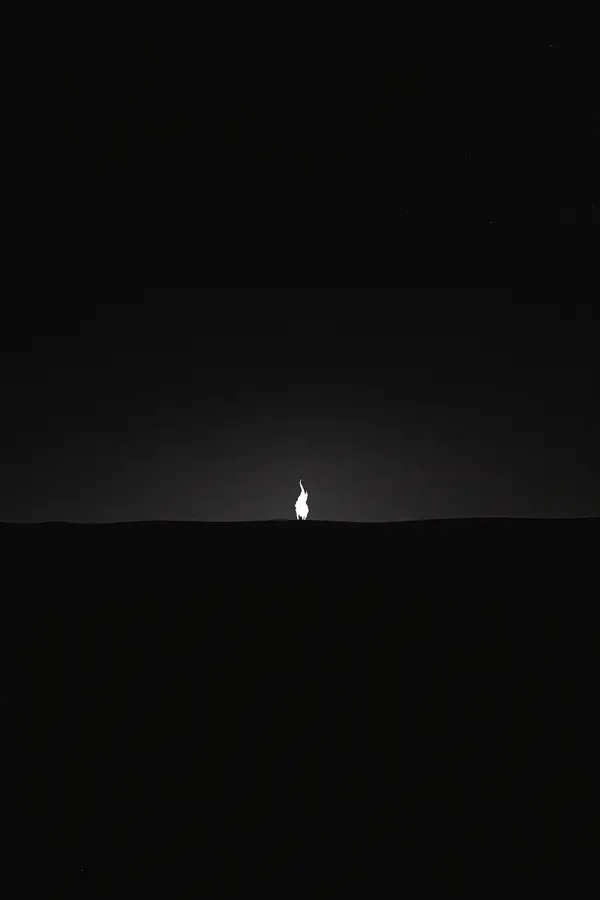 星火燎原 高清影视库封面